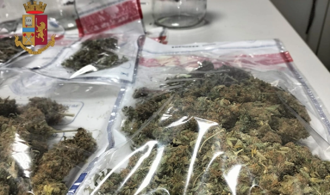 Droga in casa, un arresto a Sorrento. Sequestrata marijuana