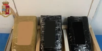 In casa aveva oltre 3 chili di cocaina, arrestato