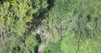 Maxi sequestri di cannabis nel Casertano, oltre 45 kg e cinque piantagioni