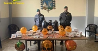 Halloween, maxi sequestro di prodotti falsi e non sicuri: blitz anche nel Vesuviano