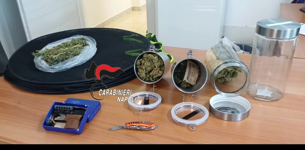 Forte di odore di marijuana, i carabinieri la trovano in casa di un incensurato