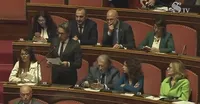 Pronto soccorso a Boscotrecase: l'interrogazione del senatore Mazzella al Senato