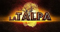 Grande Fratello, famosa ex vippona avrà un ruolo a La Talpa? L'indiscrezione