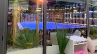 Grande Fratello, c'è un topo morto in piscina: la scoperta e la censura della regia