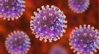 Virus dal Congo: morto nel Trevigiano un uomo di rientro dal paese africano