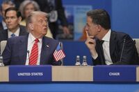 Nato, Rutte primo fan di Trump: "Grazie al 'paparino' stop alla guerra"
