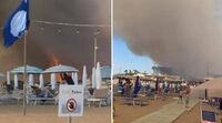 Incendio in pineta, fiamme lambiscono le spiagge di Baia Domizia: bagnanti in fuga - Video