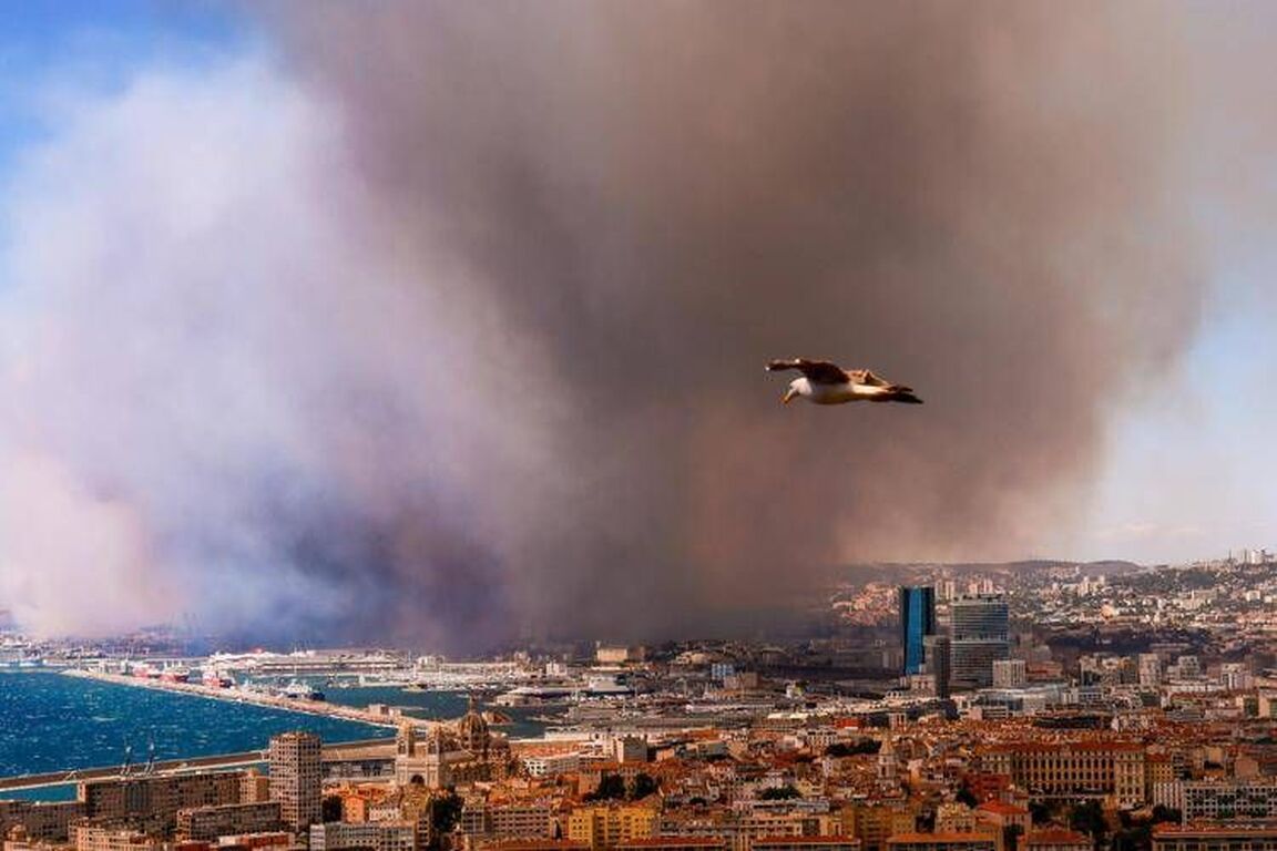 Francia, maxi incendio raggiunge Marsiglia: chiuso aeroporto